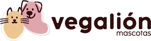 cropped-Logo_web_vegalion.png