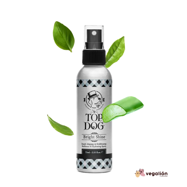 Brillo Deslumbrante (75ml)