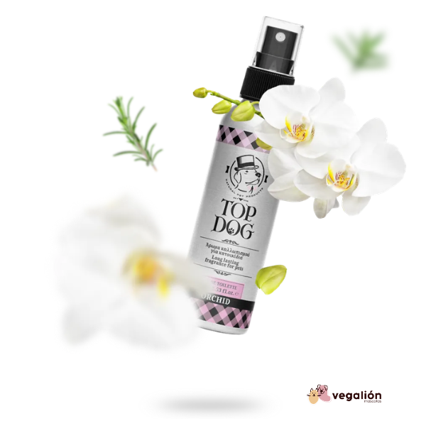Loción Hidratante Orquídeas (75 ml)