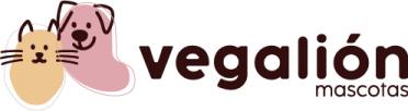 cropped-Logo_web_vegalion.png